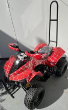 Photograph of quad bike model ATV008E