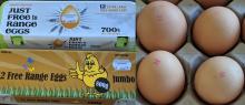 Photograph of Port Stephens eggs